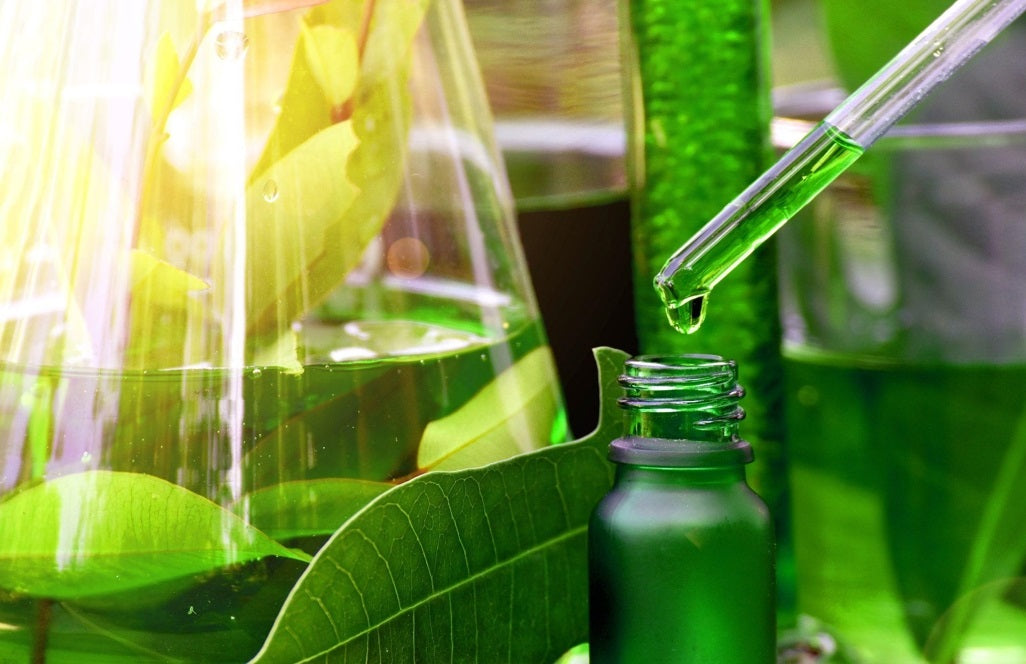 The Ultimate Guide to Using Herbal Extracts in Your Daily Routine