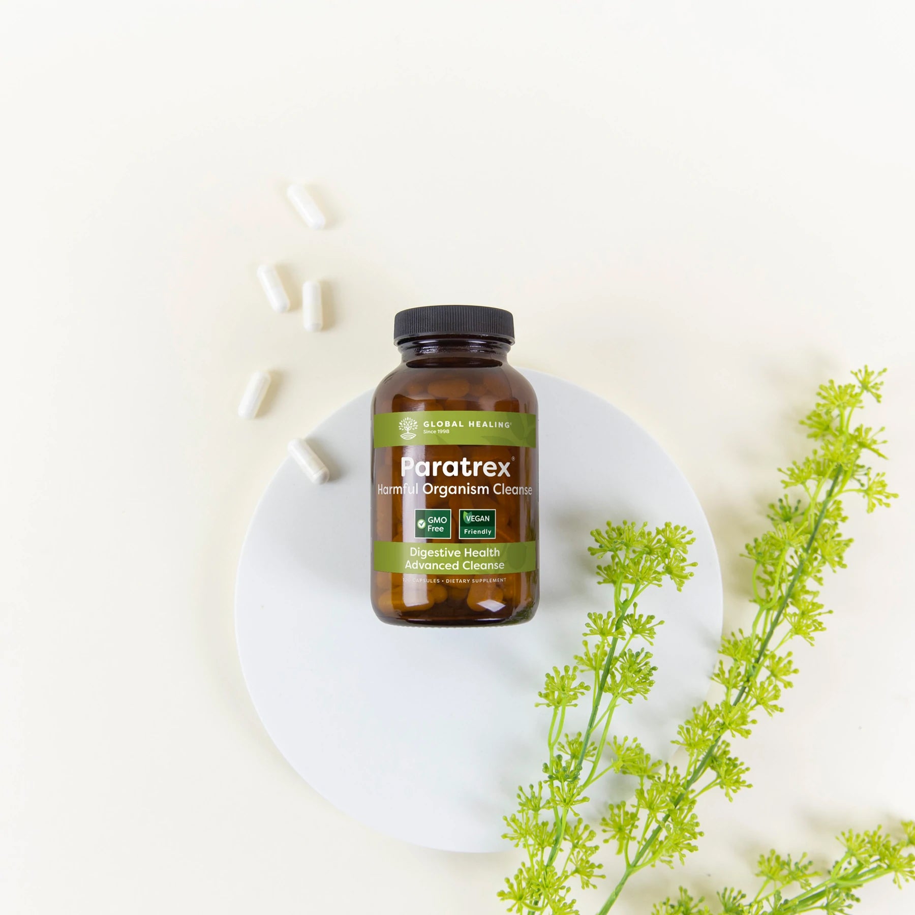 Paratrex laying near herbs