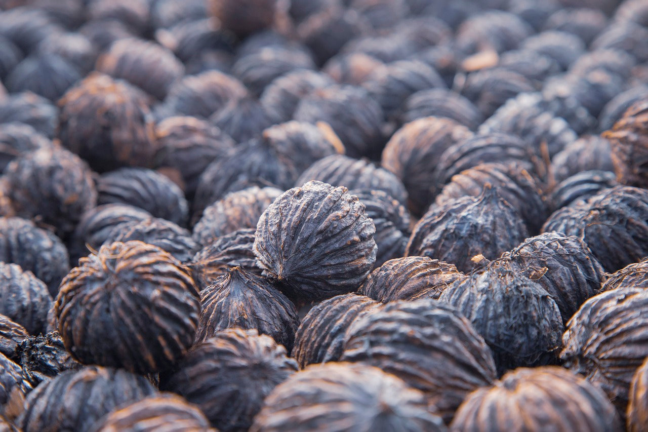 Benefits of Black Walnut: A Nutritional Powerhouse